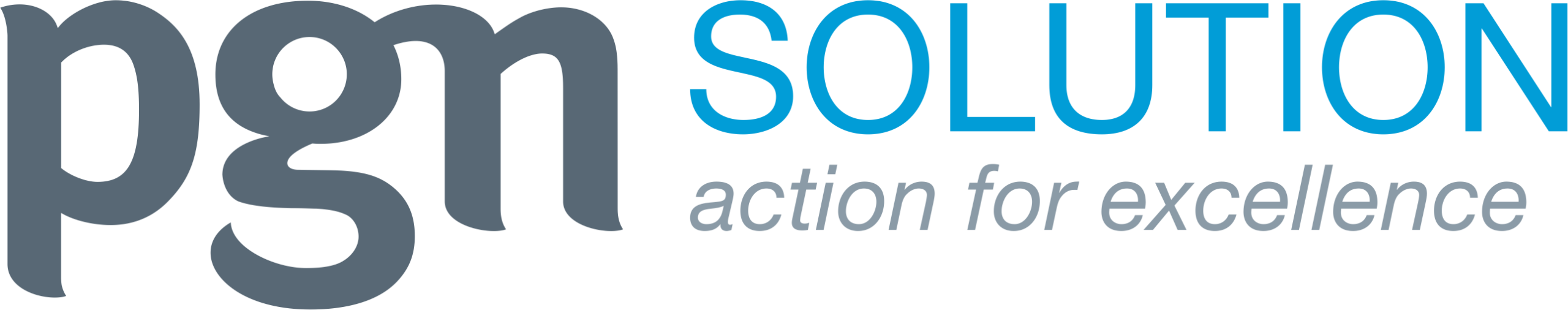 pgn solution logo